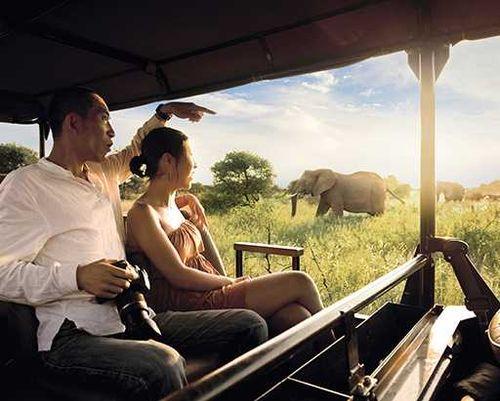AFRICAN DREAM HONEYMOON