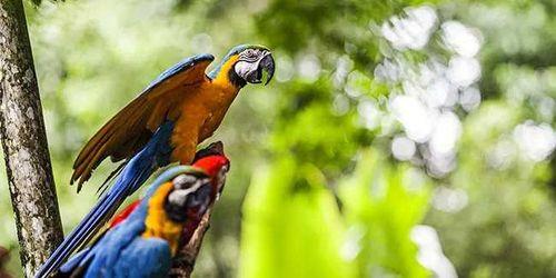 EXTEND YOUR CRUISE WITH 4 NIGHTS IN RIO DE JANEIRO